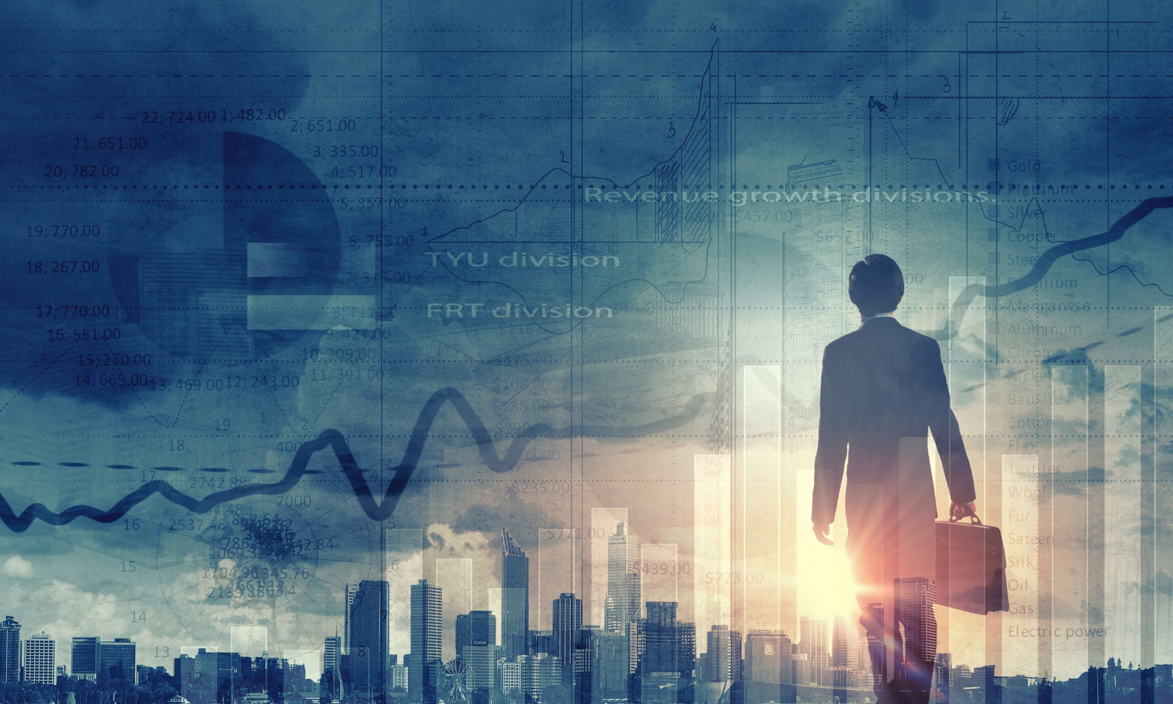 Financial analysis career
