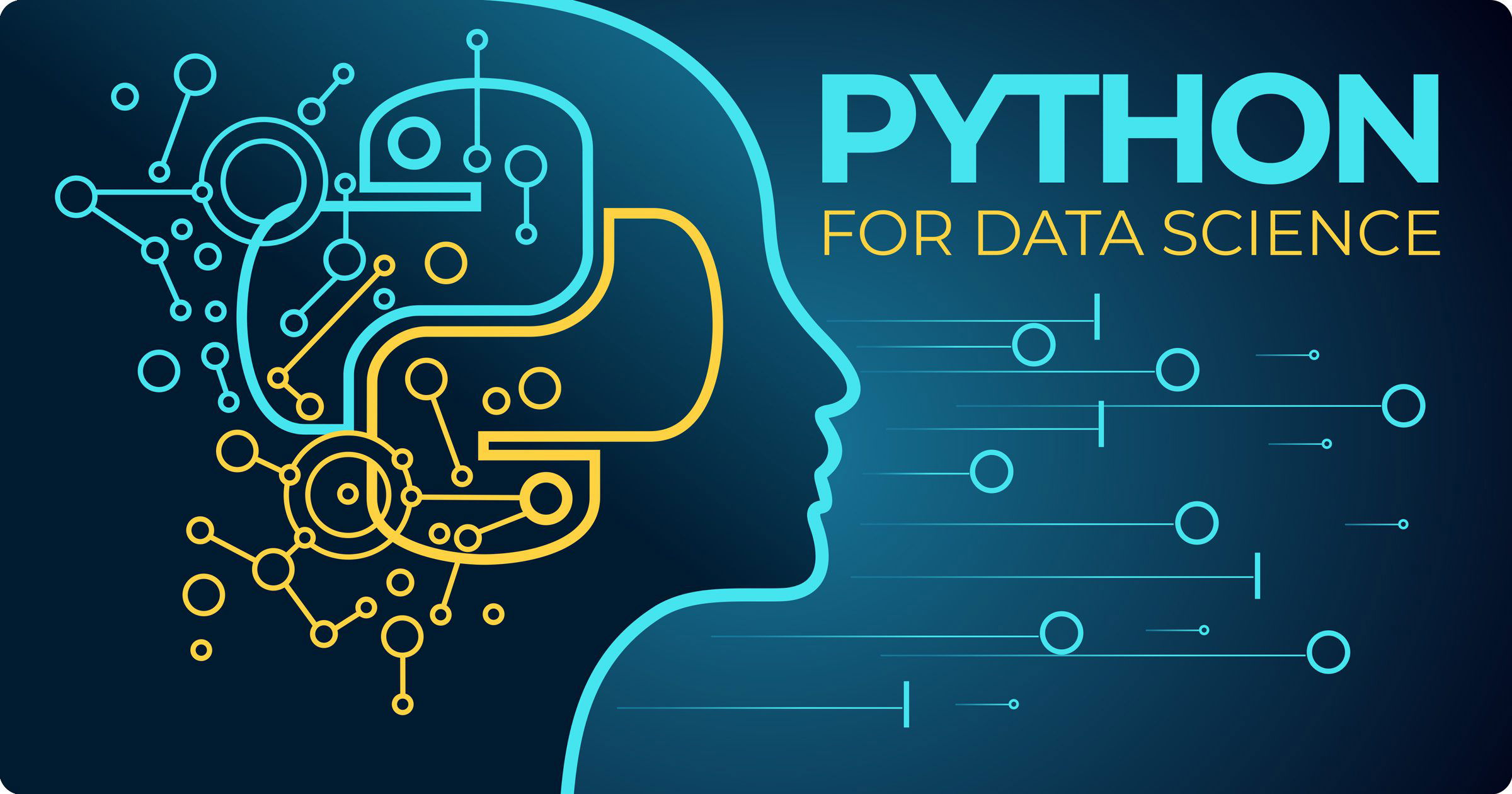 Python Certification Course