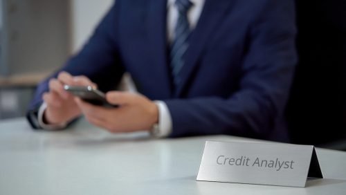 Credit Risk Analyst