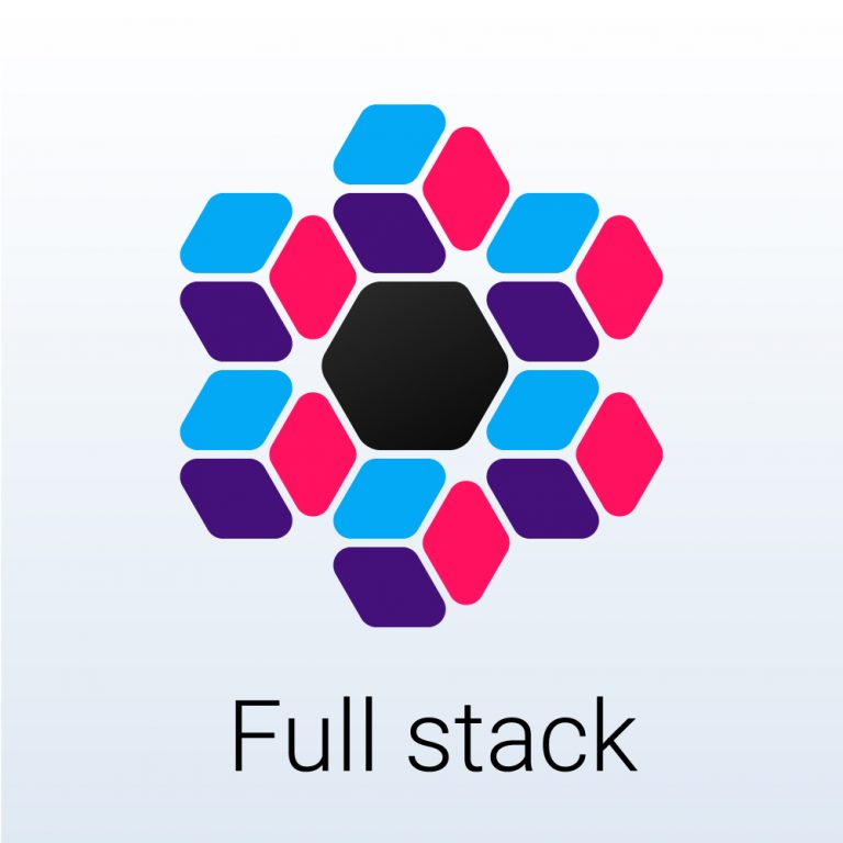 Full Stack Programmer