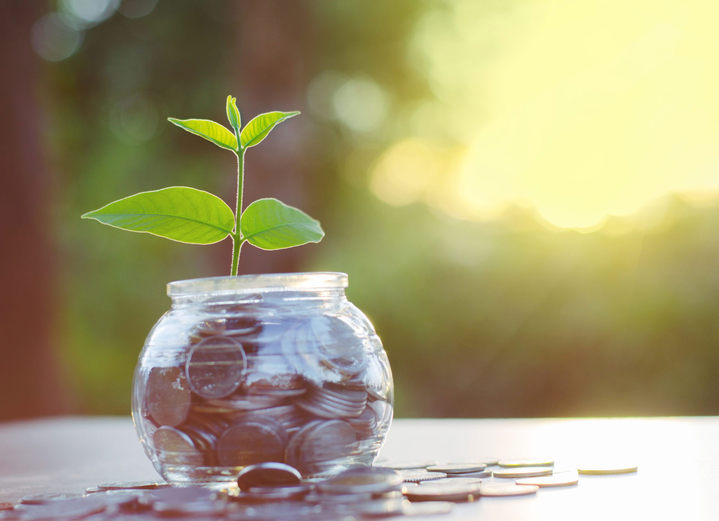 best investment banking courses with placement in India