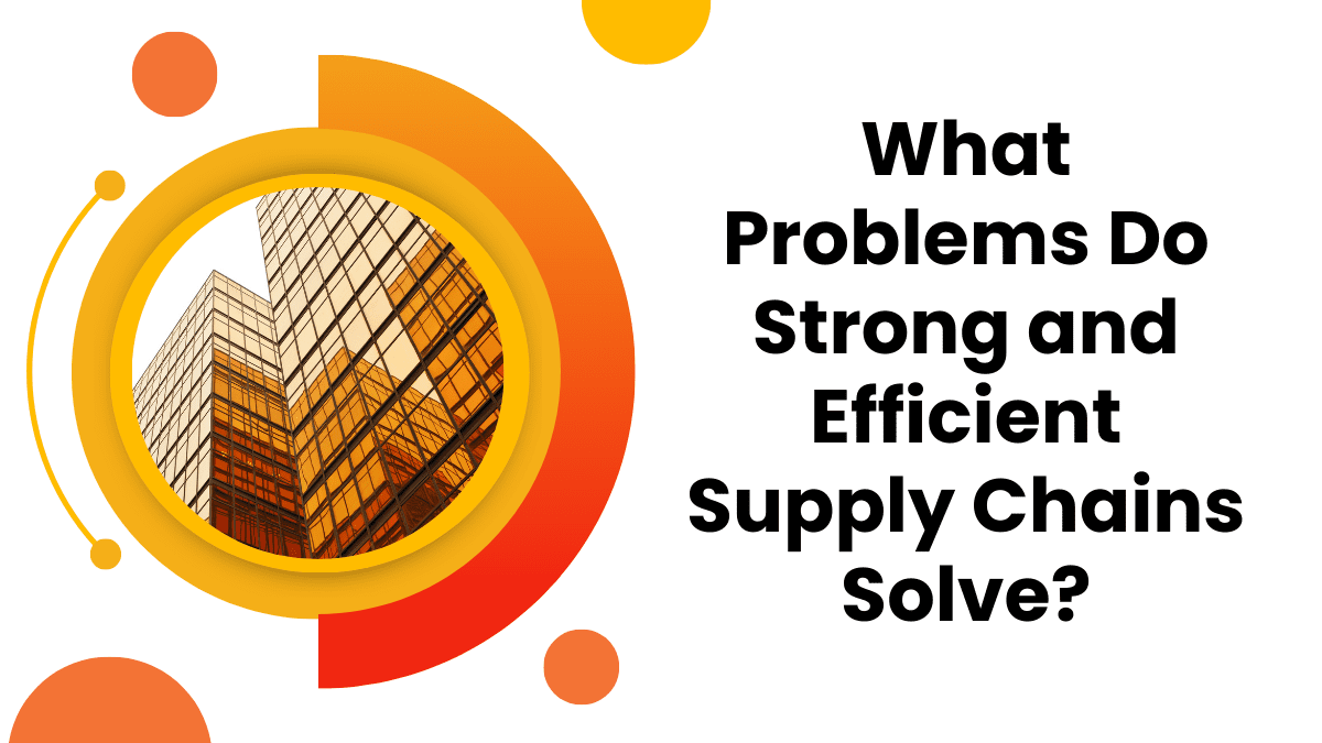 What Problems Do Strong and Efficient Supply Chains Solve?