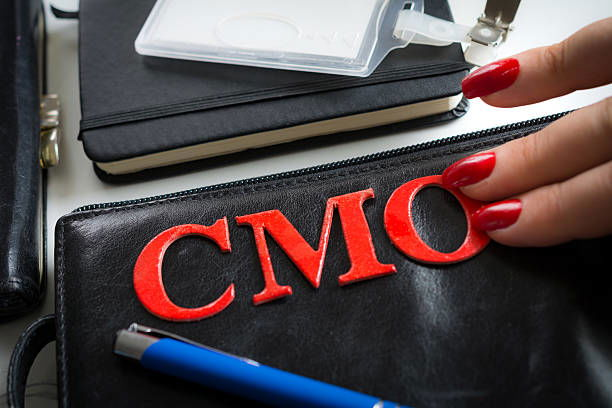 Learn Why You Should Opt for a Chief Marketing Officer course