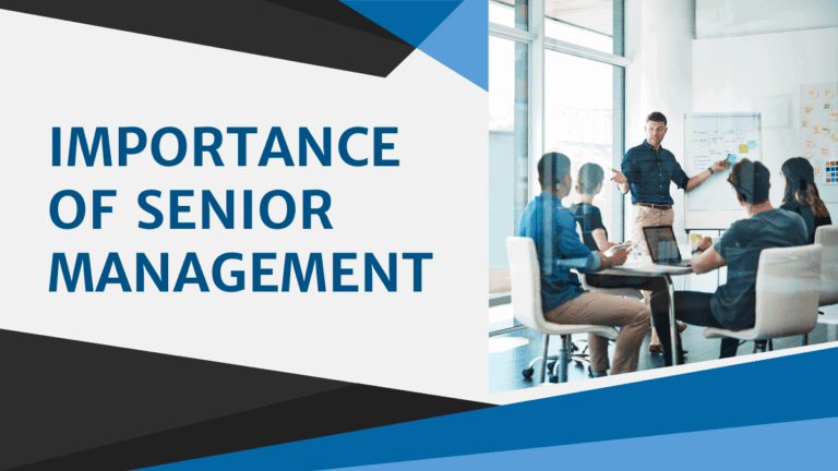 What is Senior Management
