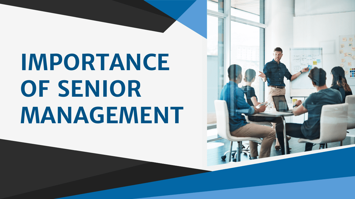 What is Senior Management