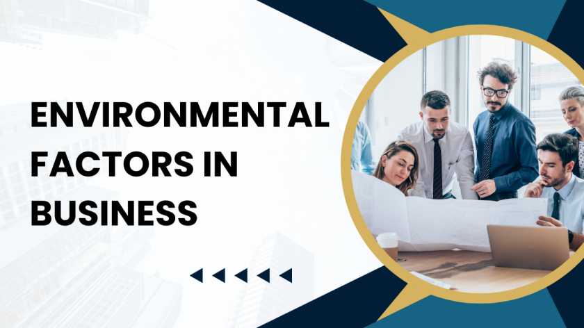 Environmental factors in business