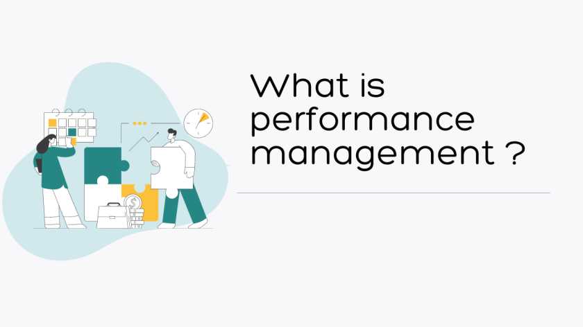 What is performance management