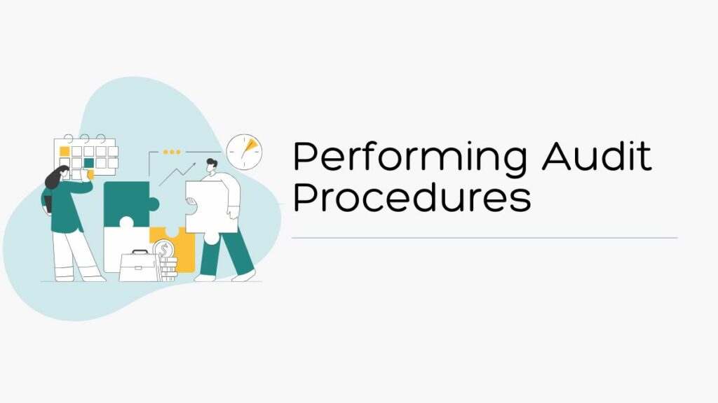 Audit Procedures