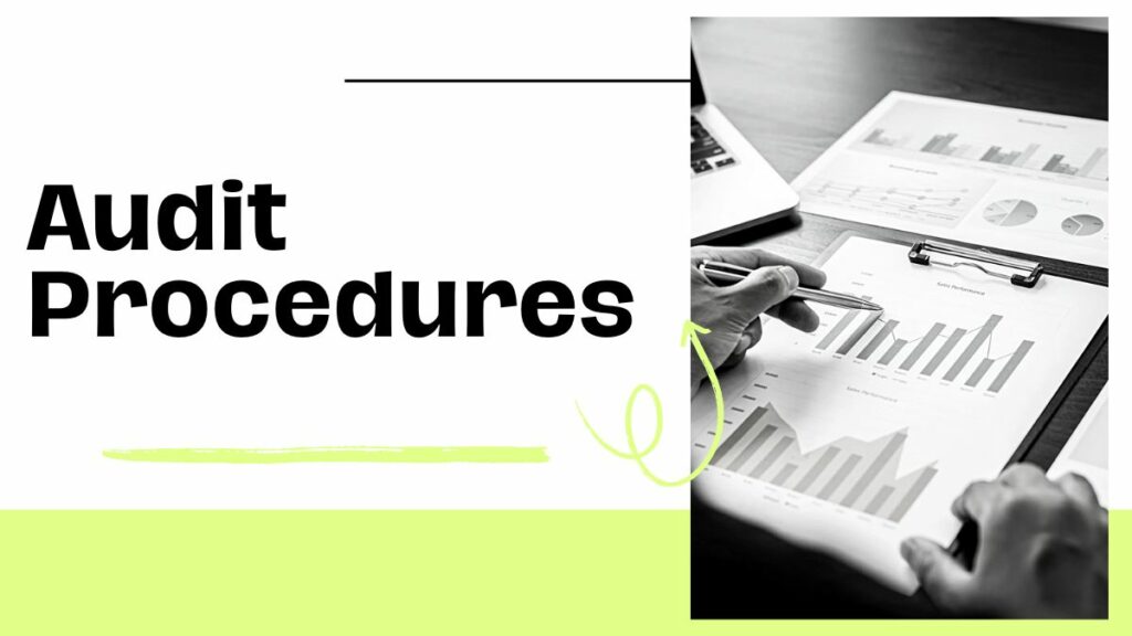 Audit Procedures