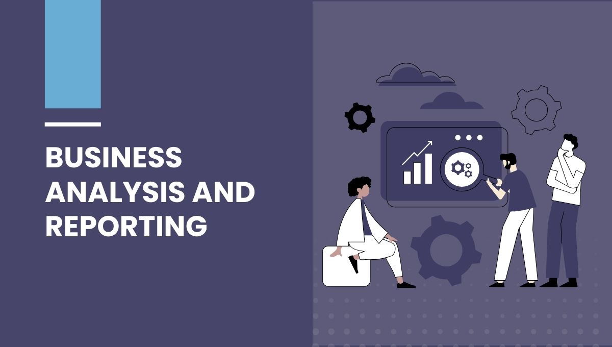Business Analysis and Reporting (BAR) for State and Local Governments