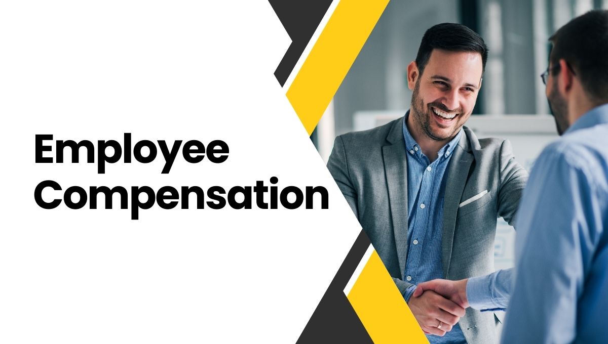 Understanding Employee Compensation: Key Components and Their Importance