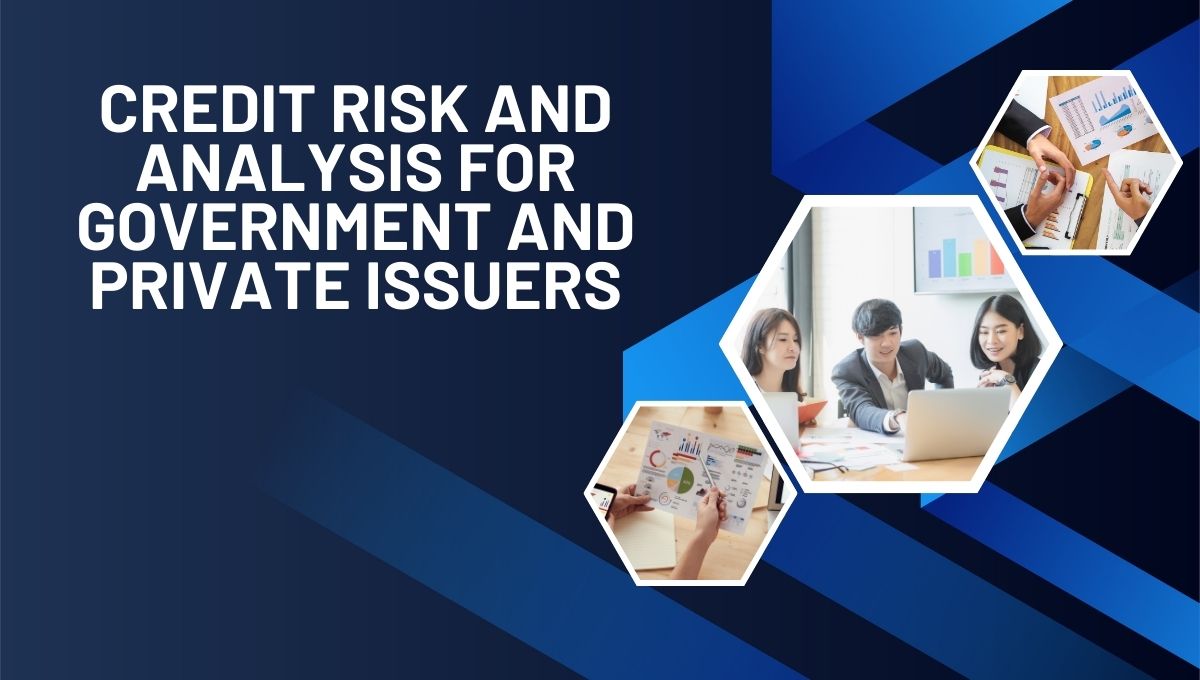 Credit risk analysis