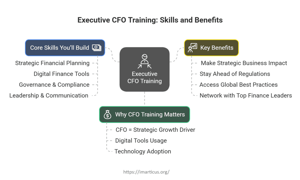 Executive CFO Training