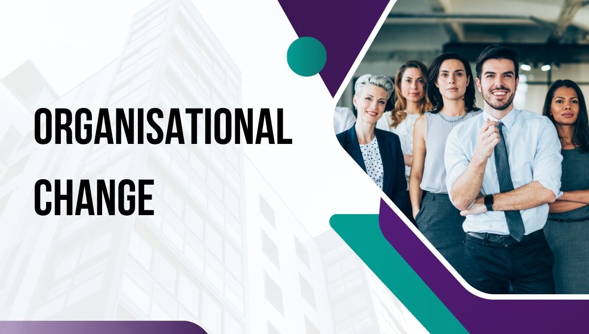 How Senior Leaders Can Drive Organizational Change