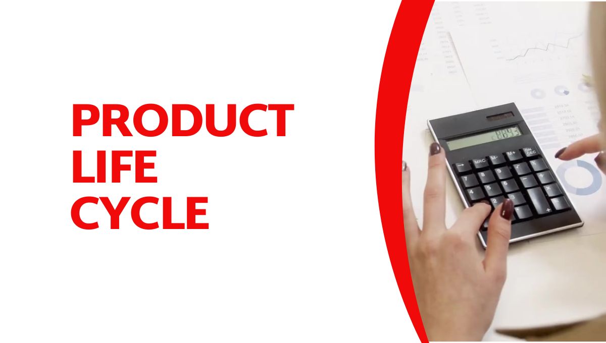 product life cycle