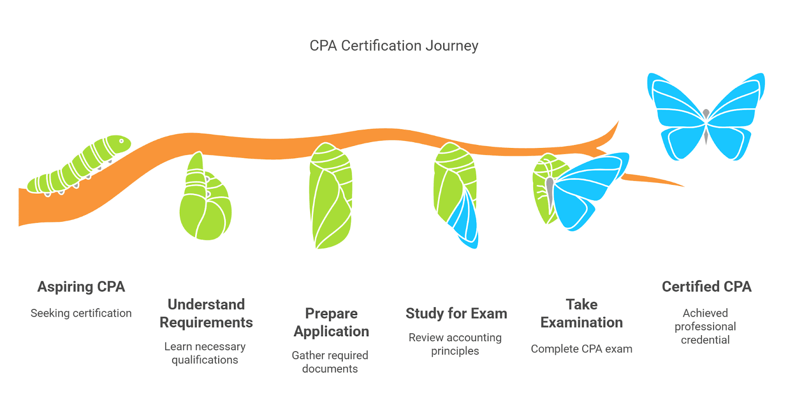 CPA Course Eligibility
