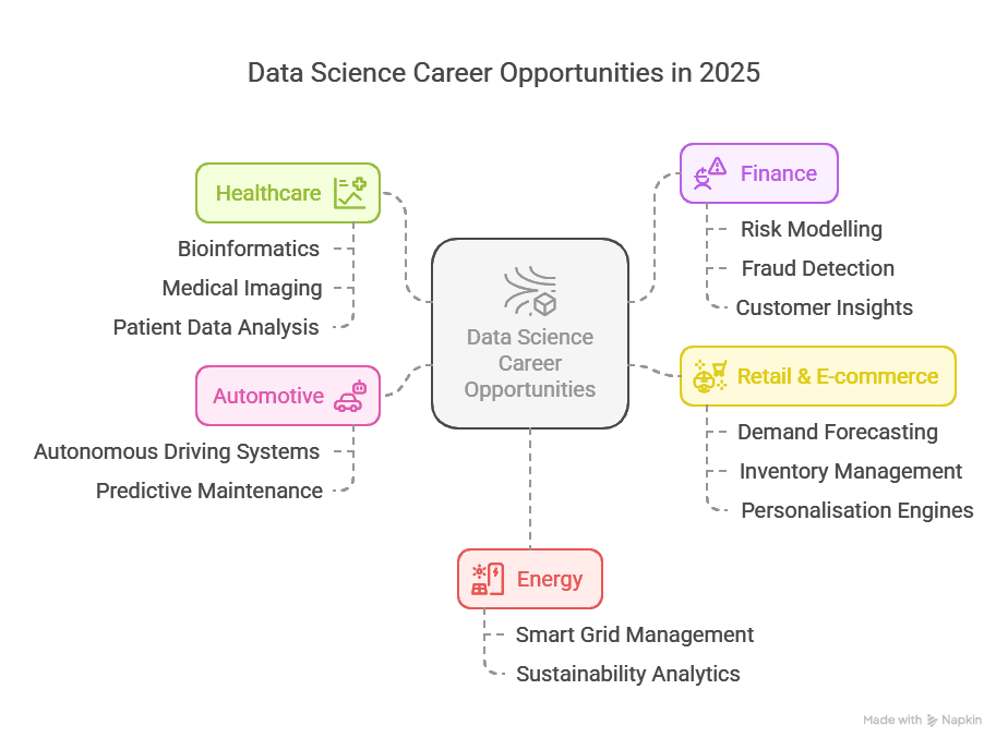 Data Scientists