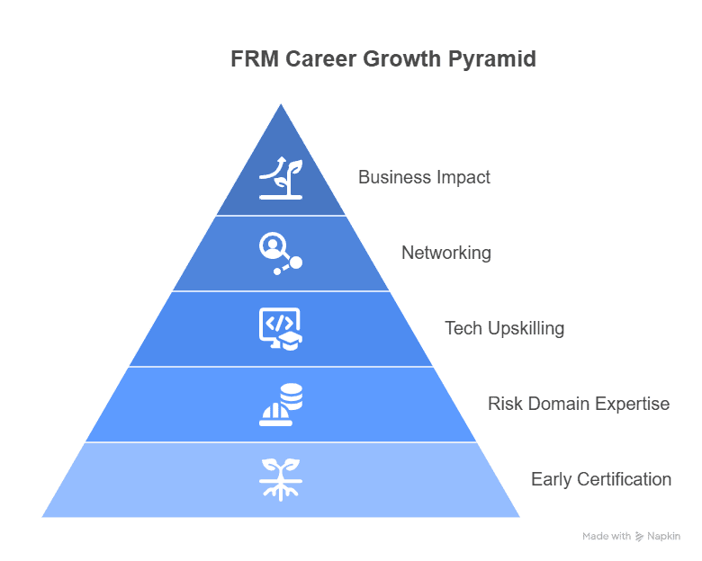 FRM Career Growth Pyramid