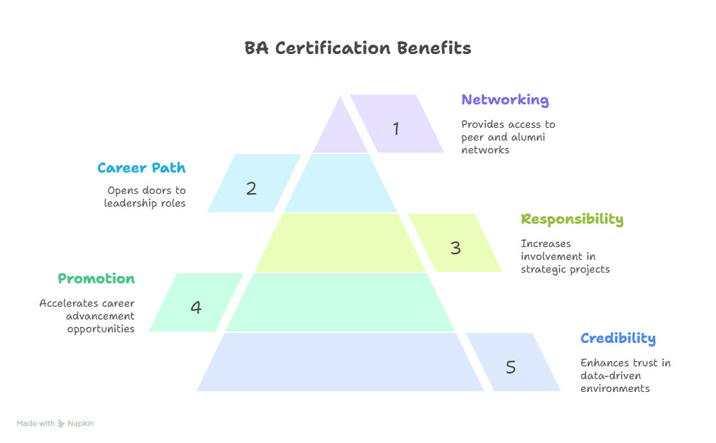 Business analyst certification