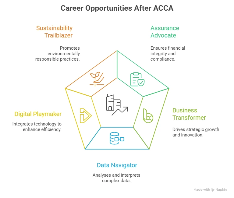 Career Opportunities After ACCA