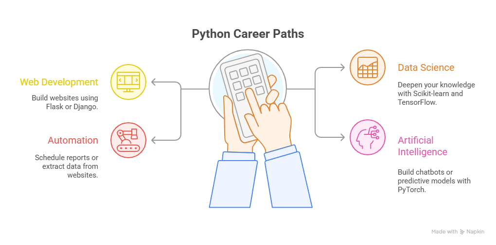 Python Career Paths