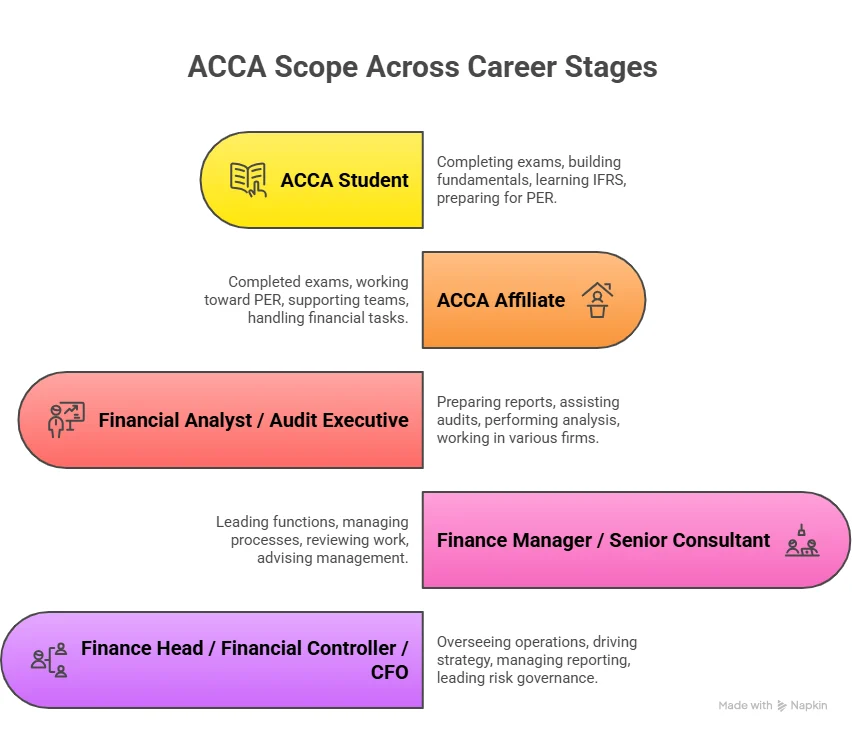 scope of acca across various career stages